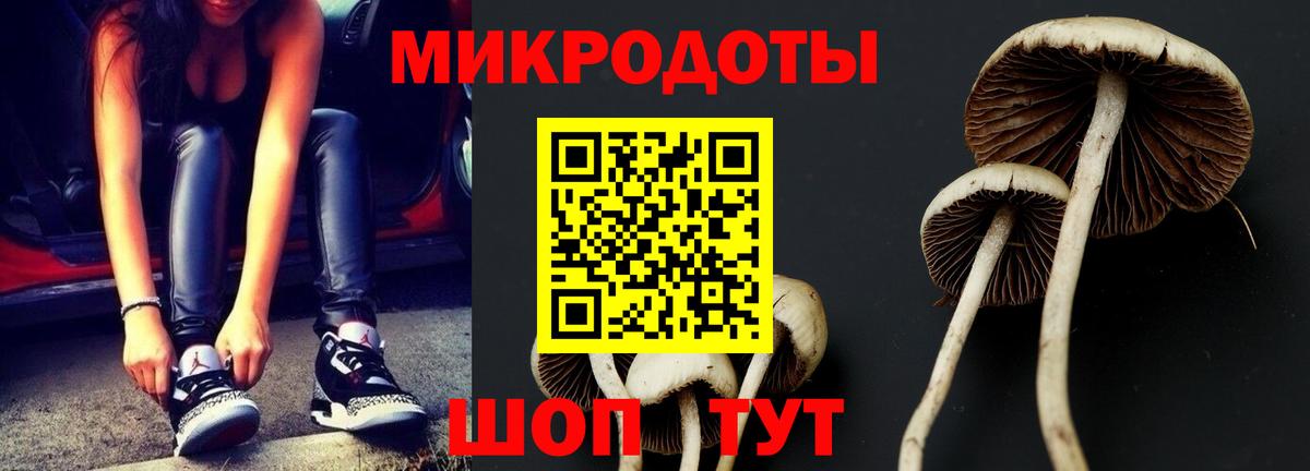 Псилоцибиновые грибы MAGIC MUSHROOMS  Псилоцибиновые грибы MAGIC MUSHROOMS  Вход с VPN  Славянск-на-Кубани 